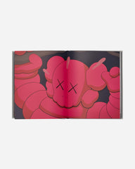 KAWS: New Fiction Book