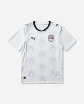 Men's Egypt 2026 Away Jersey White / Feather Gray