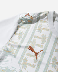 Men's Côte d'Ivoire 2026 Away Jersey White / Warm Chestnut