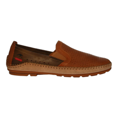 Dorian F1172