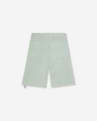 Men's Chino Shorts Ice Flow