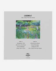 Like A Song From Your Dream Vinyl