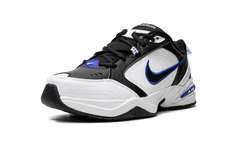 Air Monarch IV "Black" 416355 002