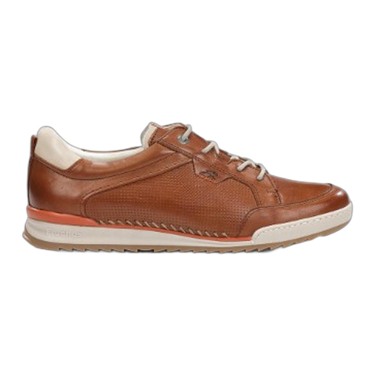 Elder F2179